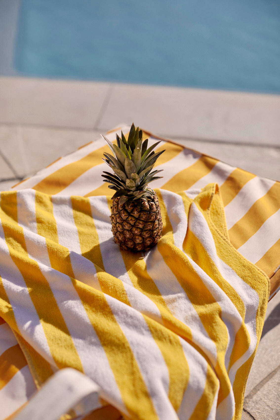 24 Hours In Palm Springs